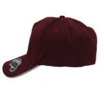 Flex fit Cap - Image 4